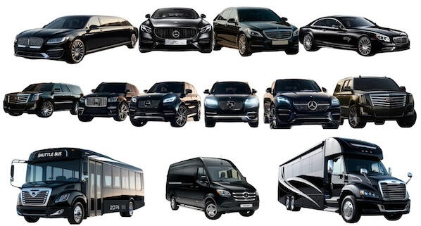 Sprinter Van Chauffeur Service Chauffeured Sprinter Van Service